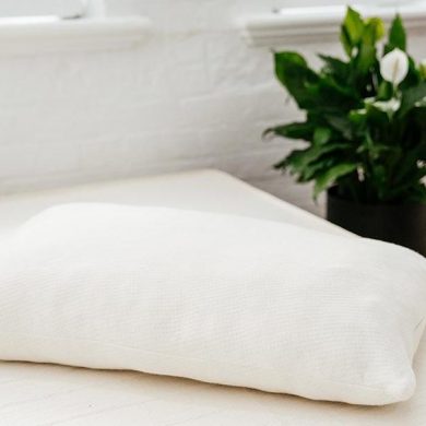 peacelily kapok pillow review